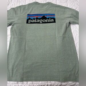 Patagonia Men's Sage Green Tee with Logo